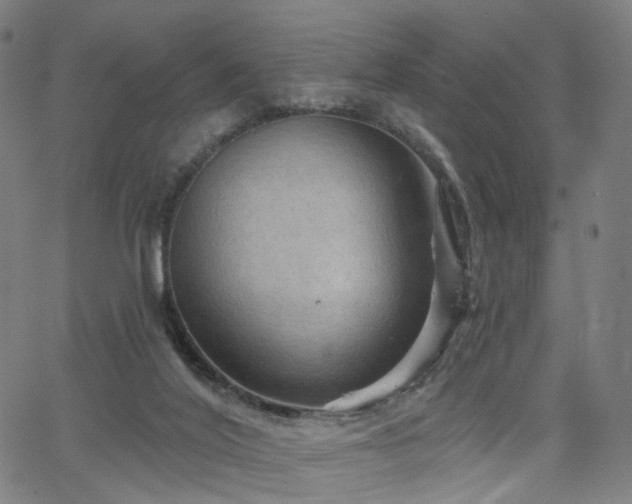 X0000066120020200603101247