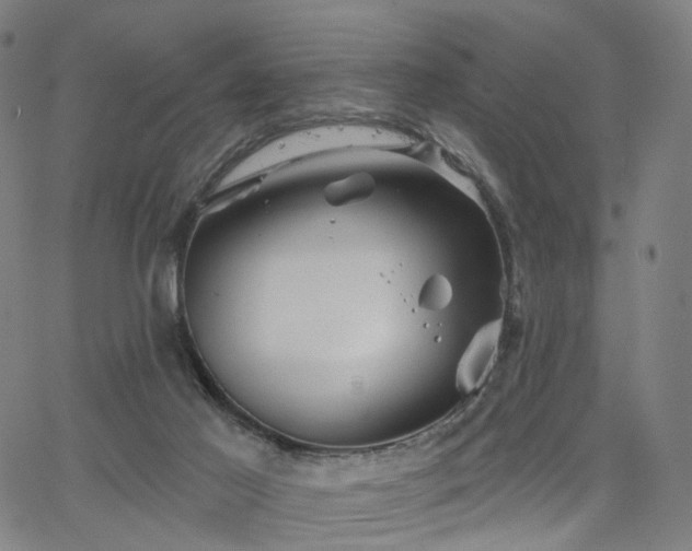 X0000066120021200603101247