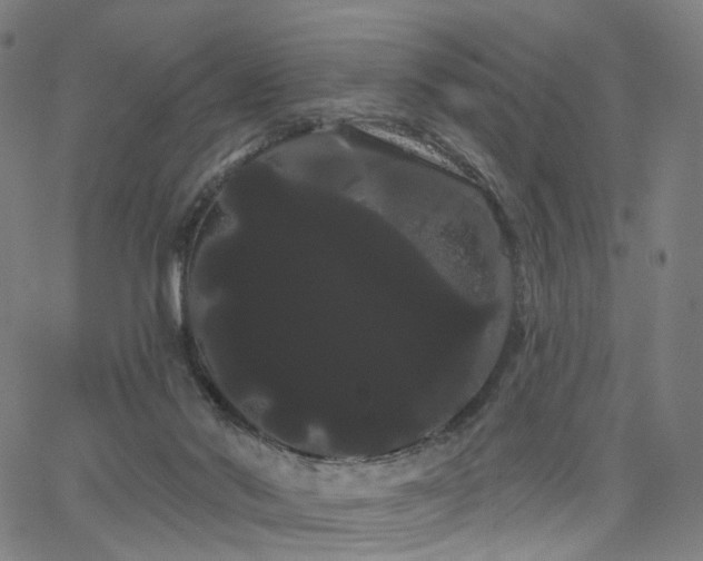 X0000066120022200603101247