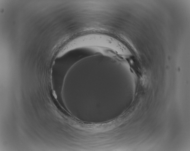 X0000066120023200603101247