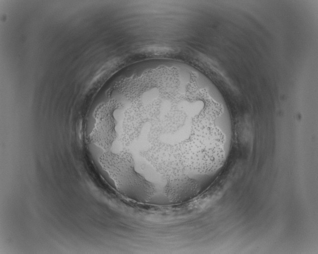 X0000066120024200603101247