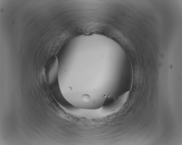 X0000066120025200603101247