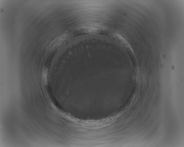 X0000066120026200603101247