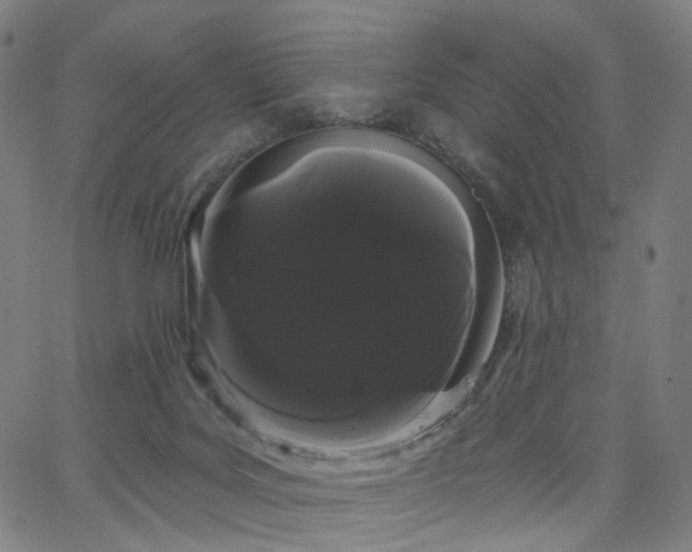 X0000066120027200603101247