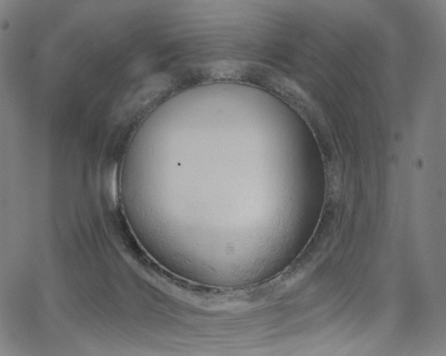 X0000066120028200603101247