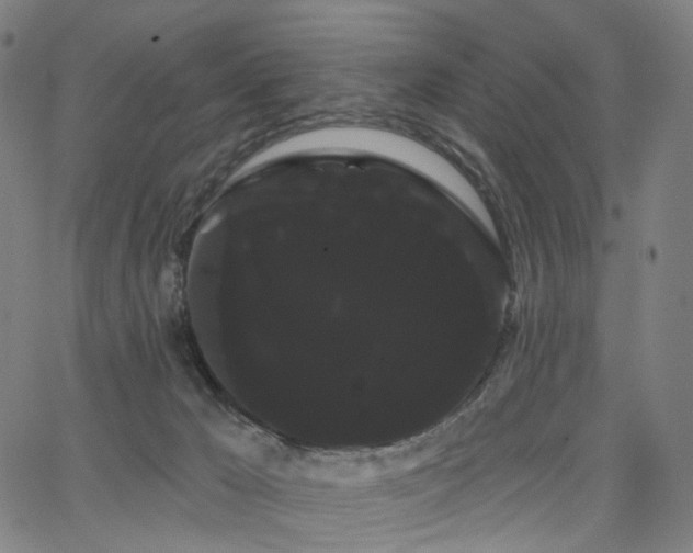 X0000066120029200603101246