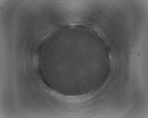 X0000066120030200603101246