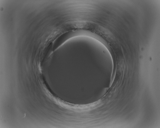 X0000066120031200603101246