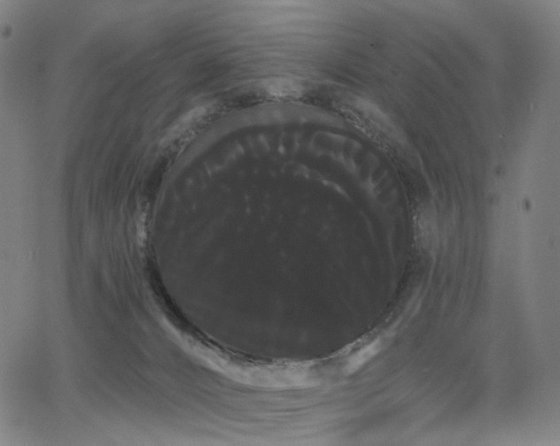 X0000066120032200603101246