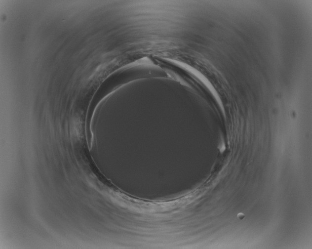 X0000066120035200603101246