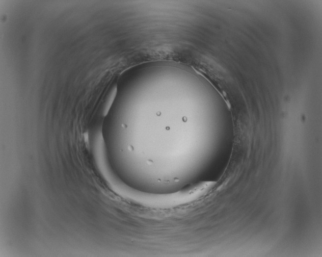 X0000066120037200603101246