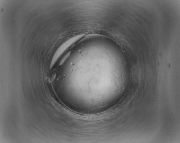 X0000066120038200603101246