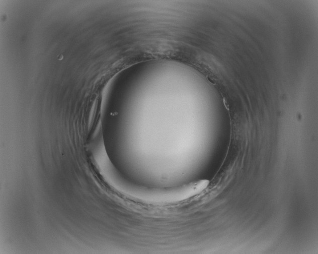 X0000066120040200603101246