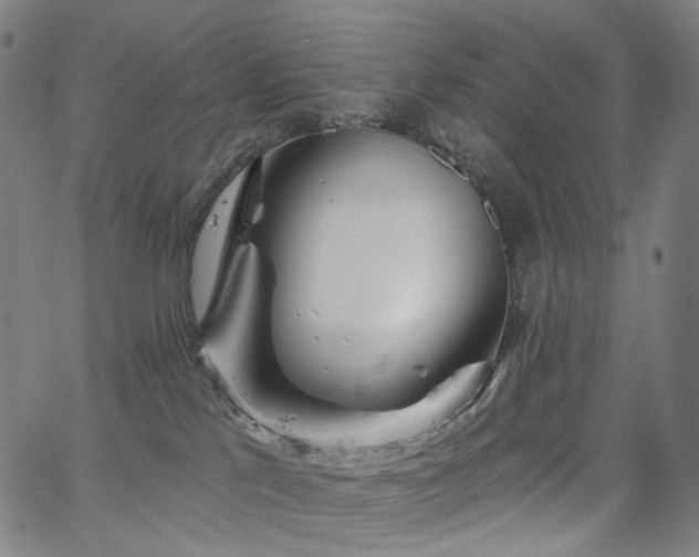 X0000066120041200603101246