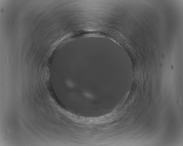 X0000066120043200603101246