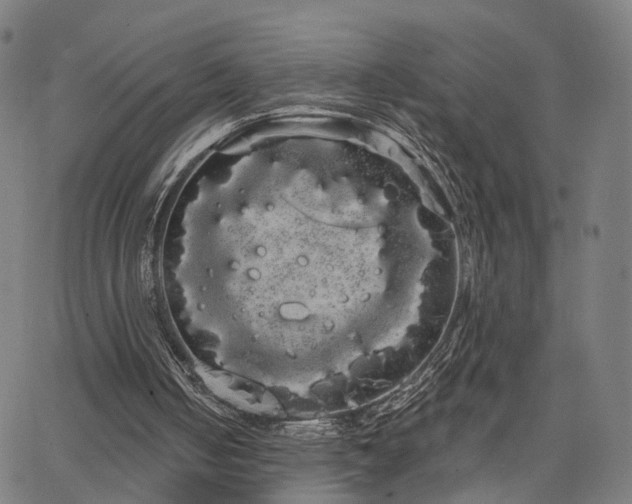 X0000066120050200603101245