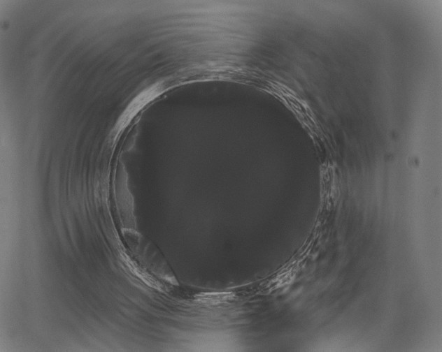 X0000066120051200603101245