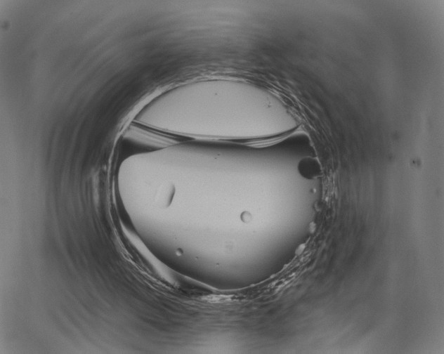 X0000066120052200603101245