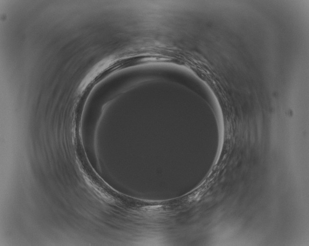 X0000066120054200603101245