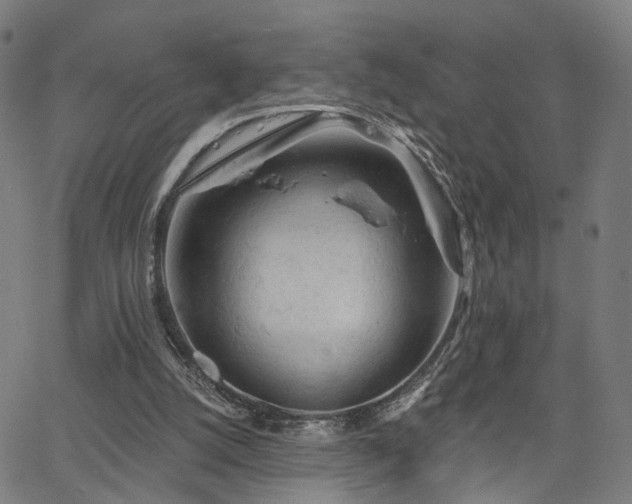 X0000066120056200603101246