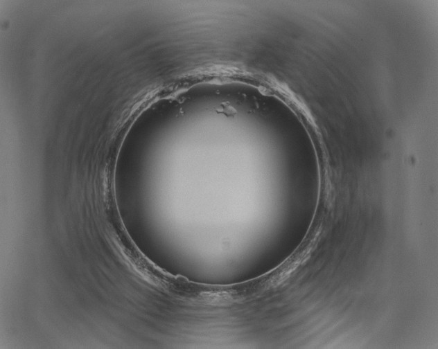 X0000066120057200603101246