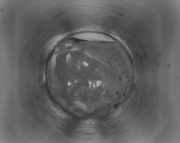 X0000066120062200603101246