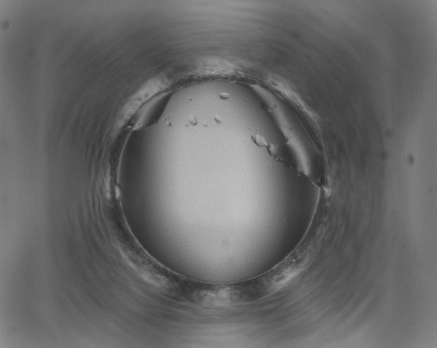 X0000066120068200603101246