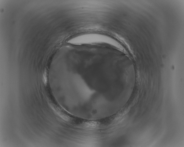 X0000066120069200603101246