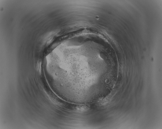 X0000066120070200603101246