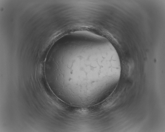 X0000066120071200603101246