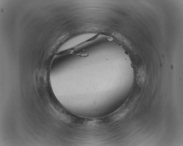 X0000066120072200603101246