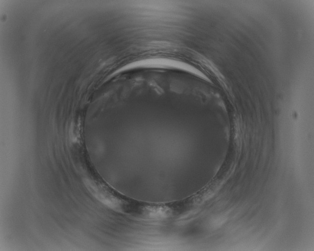 X0000066120073200603101246