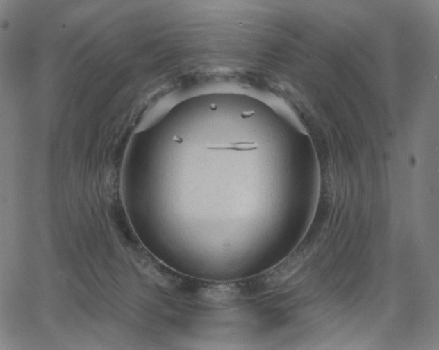 X0000066120079200603101246