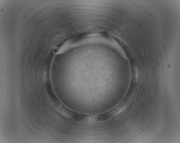 X0000066120080200603101246