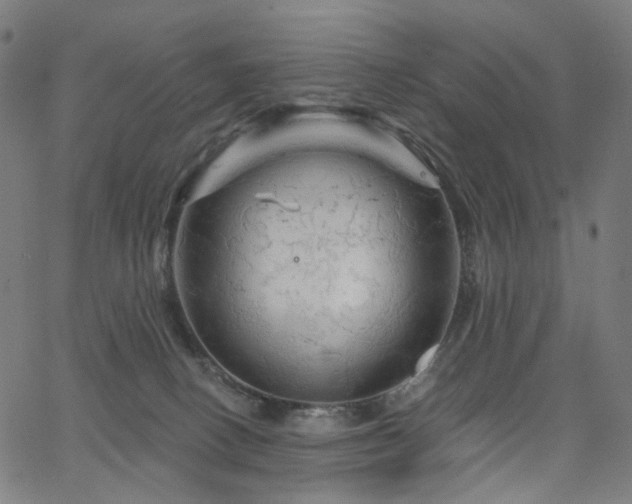 X0000066120082200603101246