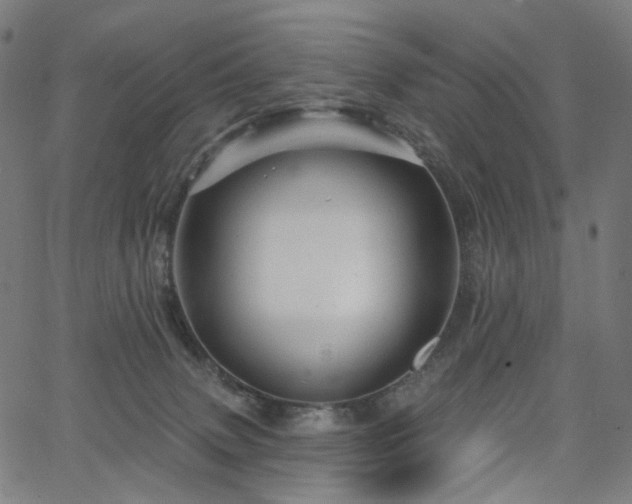 X0000066120083200603101246