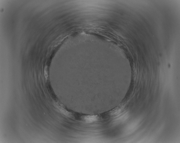 X0000066120085200603101246