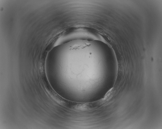 X0000066120086200603101246