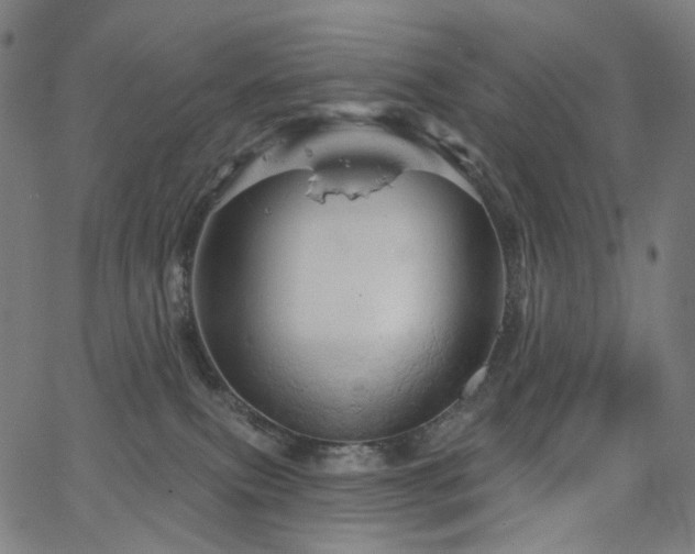 X0000066120087200603101246