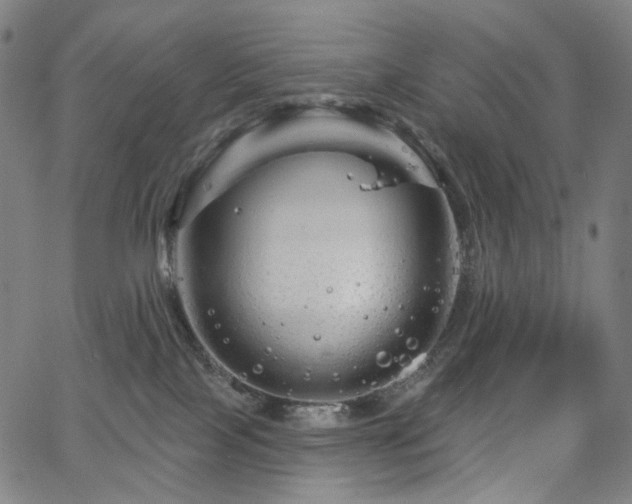 X0000066120089200603101246