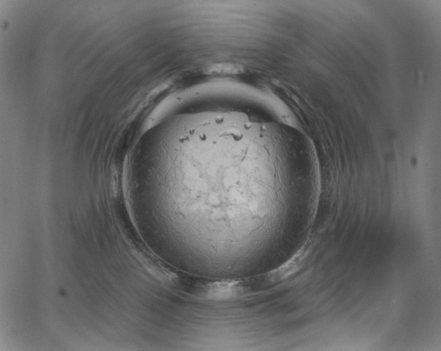 X0000066120090200603101246