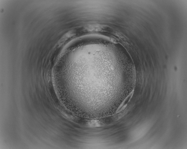 X0000066120091200603101246