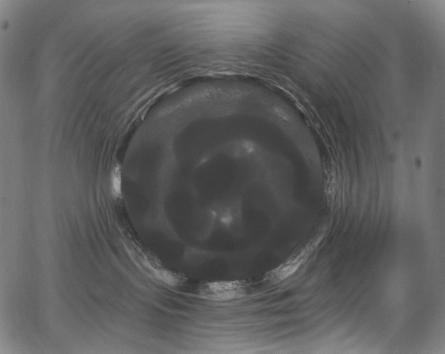 X0000066120095200603101246