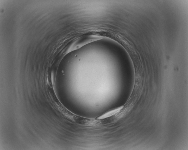 X0000066120096200603101246