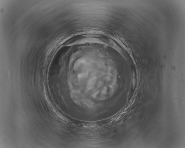 X0000066120097200603101245