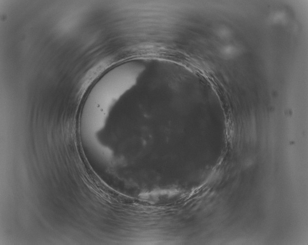 X0000066120099200603101245