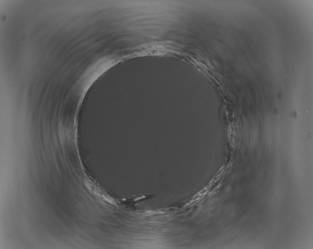 X0000066120100200603101245