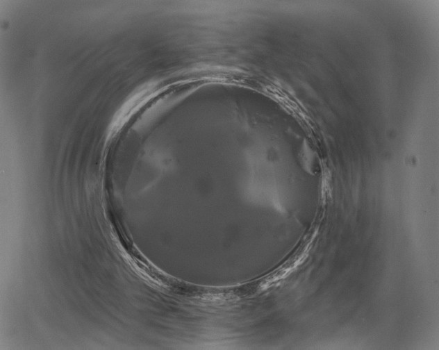 X0000066120101200603101245