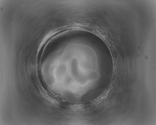 X0000066120102200603101245