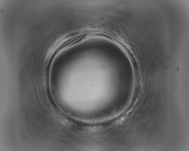 X0000066120103200603101245